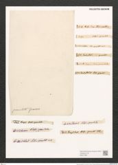 Nitzschia granulata Grun. (de-Toni-Nr.: Genus 47, Species 2000) Zeichnungen Sammlung Grunow (NHMW-BOT-W0371694)